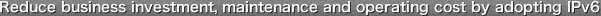 Reduce business investment, maintenance and operating cost by adopting IPv6