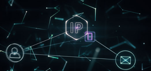IPv6 IPoE ローミング接続サービス